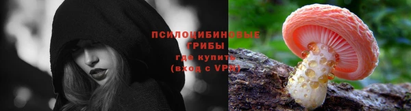 ПСИЛОЦИБИНОВЫЕ ГРИБЫ Баксан