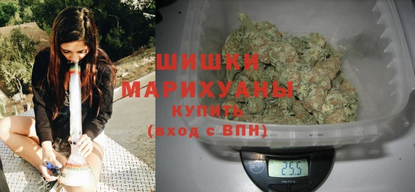 ешки Бердск