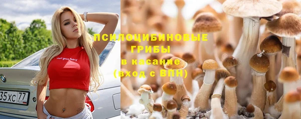 винт Балахна