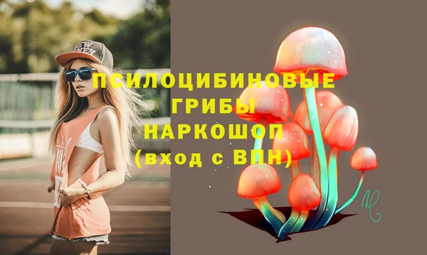 ПСИЛОЦИБИНОВЫЕ ГРИБЫ Баксан