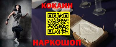 гашик Кингисепп