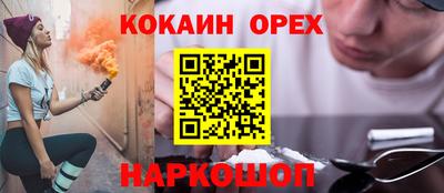 гашик Кингисепп
