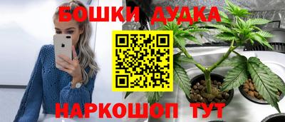 мдпв Кимры