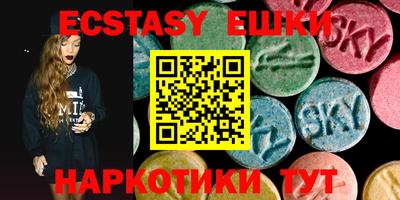 гашик Кингисепп