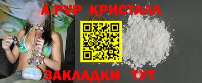 гашик Кингисепп