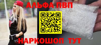 гашик Кингисепп