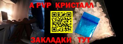 гашик Кингисепп