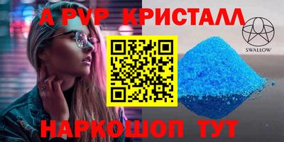 гашик Кингисепп