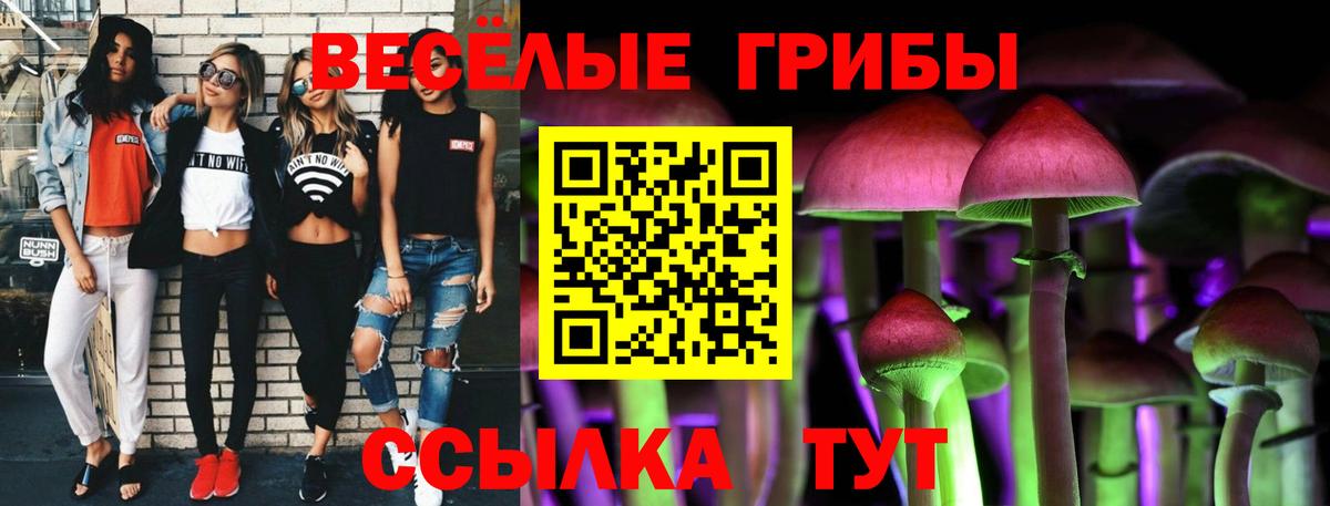Псилоцибиновые грибы мухоморы Корсаков