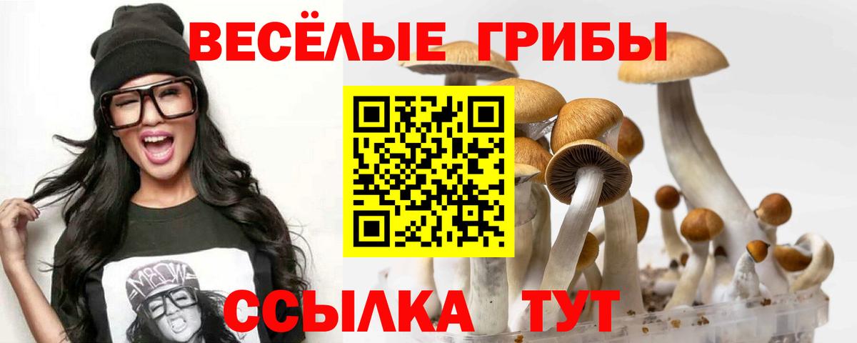 Галлюциногенные грибы Psilocybine cubensis  Псилоцибиновые грибы мухоморы  цены наркотик  Корсаков  Вход с VPN 