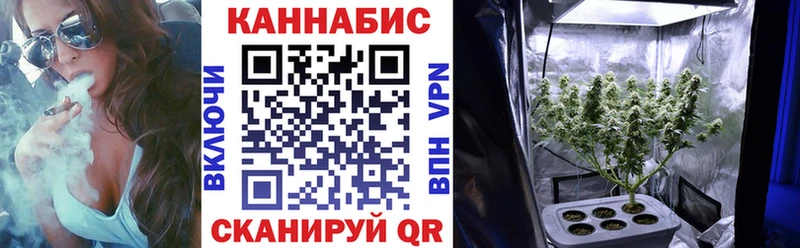 продажа наркотиков  ОМГ ОМГ tor  Бошки марихуана Amnesia  Корсаков 