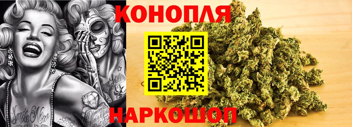 Шишки марихуана гибрид Корсаков